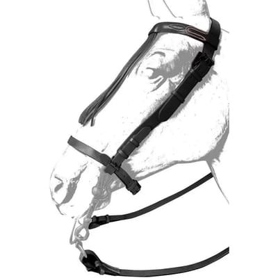 Lederen paardenhoofdstellen Zaldi Ronda