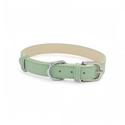 Dog's Companion Leren Halsband Hond - PU leren hondenhalsband - Lengte: 55 cm Verstelbaar van 37,5-47,5 cm x 25 mm - Groen