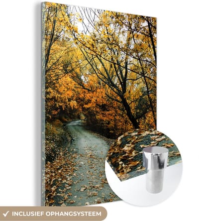MuchoWow® Glasschilderij 30x40 cm - Schilderij acrylglas - Bladeren - Herfst - Bos - Foto op glas - Schilderijen