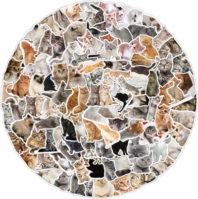 100 Stickers met Katten - Poezen Stickers - Mix 5x7CM - Foto Laptopstickers, Muurstickers dieren, Stickers voor muur, mobiel etc.