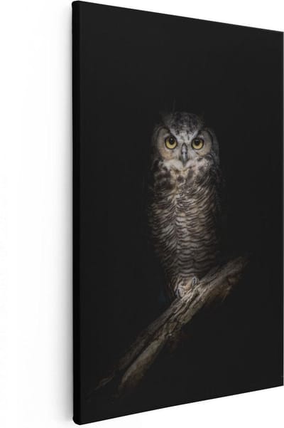Artaza Canvas Schilderij Dierenkop Uil - 20x30 cm - Klein - Wanddecoratie Dieren - Muurdecoratie Vogel - Kamer Accessoires