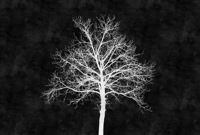 Fotobehang blackboard 2 DD110311 Livingwalls Walls by Patel | Goedkoop fotobehang