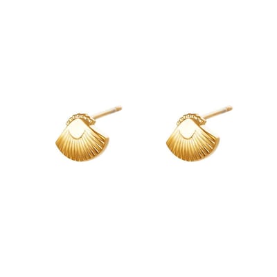 Oorbellen Desire | Cadeau voor haar | Tieners | Moederdag