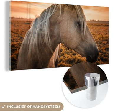 MuchoWow® Glasschilderij 40x20 cm - Schilderij acrylglas - Paard - Dieren - Portret - Foto op glas - Schilderijen