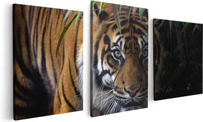 Artaza Canvas Schilderij Drieluik Tijger In De Jungle - 120x60 - Foto Op Canvas - Canvas Print