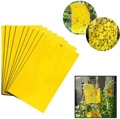 GEAR 3000® vliegenvanger plakstrip 5 stuks - vangplaten - muggenvanger - rouwvliegjes - insectenvanger - fruitvliegjes vanger