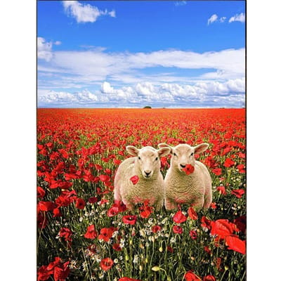 Diamond Mozaïek dier schapen Foto bloemen DIY Diamant Borduren 5D volledige Diamond Schilderen Kruissteek decor 20X30CM red