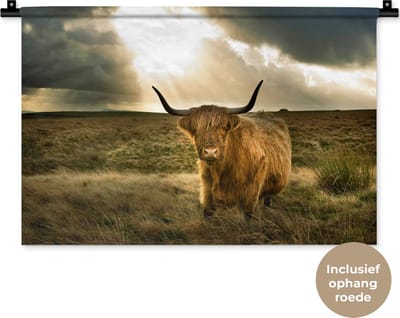 Wandkleed Schotse hooglander - Harige Schotse hooglander met zonnestralen Wandkleed katoen 60x40 cm - Wandtapijt met foto