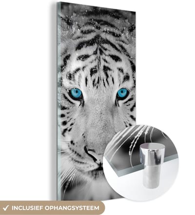 MuchoWow® Glasschilderij 20x40 cm - Schilderij acrylglas - Tijger - Winter - Dieren - Foto op glas - Schilderijen