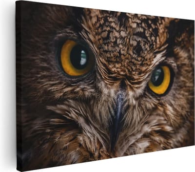 Artaza Canvas Schilderij Dierenkop Uil - 30x20 cm - Klein - Wanddecoratie Dieren - Muurdecoratie Vogel - Kamer Accessoires