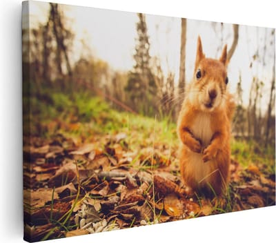 Artaza Canvas Schilderij Eekhoorn - 30x20 cm - Klein - Wanddecoratie Bos - Muurdecoratie Boom - Kamer Accessoires