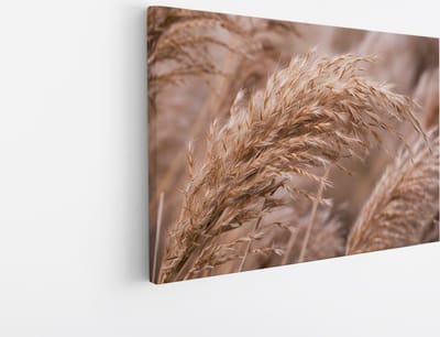 Saammp Canvas Schilderij - Pampas - Natuur - 30x20 - Foto op canvas - Wanddecoratie - Muurdecoratie Woonkamer - Kantoor Decoratie