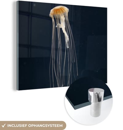 MuchoWow® Glasschilderij 160x120 cm - Schilderij acrylglas - Kwal - Zeedier - Tentakels - Foto op glas - Schilderijen