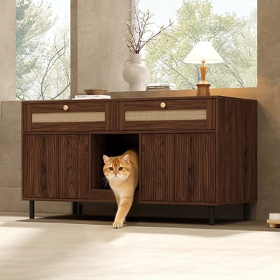 OKWISH Kattenbak Kast – Dubbele Deuren En Lade – Voor Woonkamer Of Hal – 120 x 50 x 65 cm– MDF – Walnoot