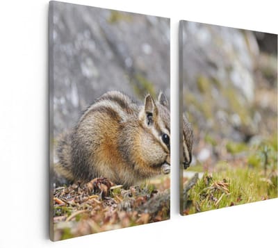 Artaza Canvas Schilderij Tweeluik Eekhoorn op het Gras tussen de Bladeren - 80x60 - Foto Op Canvas - Canvas Print