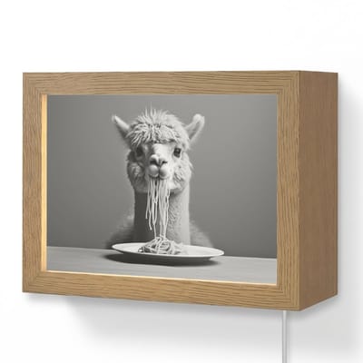 Wandlamp 20x15 cm - Oplaadbaar - Alpaca - Pasta - Zwart - Wit - Grappig - Dieren - Wandlampen binnen woonkamer - Slaapkamer lamp met kabel - Decoratieve nachtlamp - Vloerlamp snoer