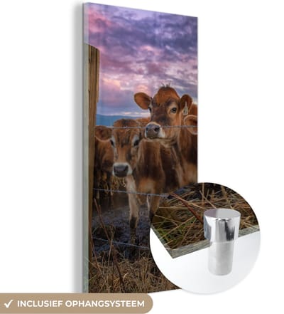 MuchoWow® Glasschilderij 20x40 cm - Schilderij acrylglas - Koe - Dieren - Koeien - Foto op glas - Schilderijen
