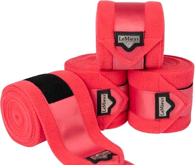 Lemieux Bandages Loire Polo Oranje - paard