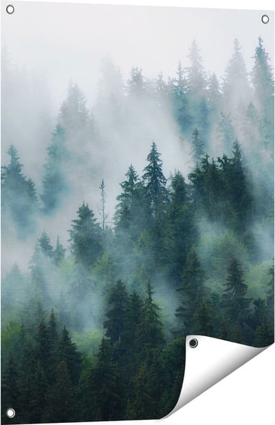 Gards Tuinposter Bos met Bomen in de Mist - 60x80 cm - Tuindoek - Tuindecoratie - Wanddecoratie buiten - Tuinschilderij