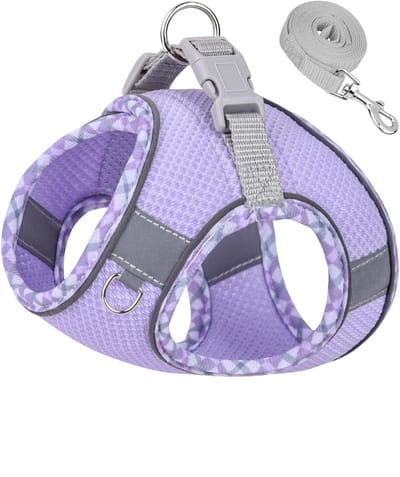 Hondenvestje - Hondentuigjes Kleine Hond - Hondentuigje Voor Kleine Tot Middelgrote Honden, Anti-Trek Tuigje En Riem Set - Instap Tuigje Voor Wandelen, Hardlopen En Training - S(Halsomtrek: 32-38 cm, Borstomtrek: 40-45 cm)