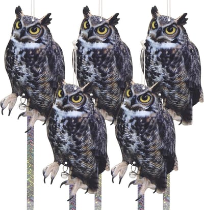 Effectieve Vogelverschrikker voor Balkon - Plastic Uil met Afschrikking voor Duiven en Sperwers - Set van 5 Stuks voor Dierenafschrikking en Tuinbescherming