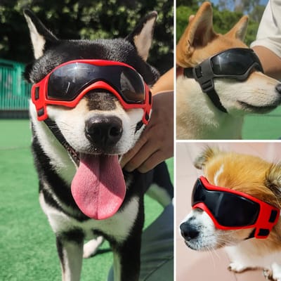 Lunettes de protection pour chiens, lunettes de protection réglables pour animaux de compagnie, pour petits et moyens chiens noir