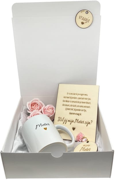 Geschenkbox Wil jij mijn METER zijn? | roze | MOK | sleutelhanger | zeeproosjes | meter vragen | meter worden | peettante vragen | peettante worden | cadeau | doosje met een vraag