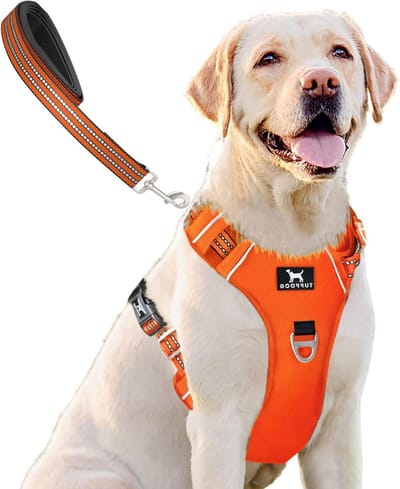 Hondentuigje met Riem - Hondenvest Anti-trek - Dagelijkse Wandelingen - Reflecterend Veiligheid - XL Borstomvang 50-89cm - Vuuroranje