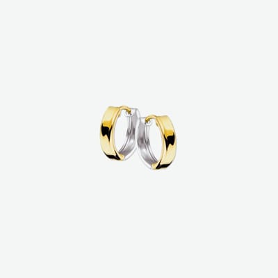Huiscollectie 4206382 Bicolor gouden Oorring licht