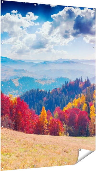 Gards Tuinposter Kleurrijke Herfstbos met Heuvellandschap - 120x180 cm - Tuindoek - Tuindecoratie - Wanddecoratie buiten - Tuinschilderij