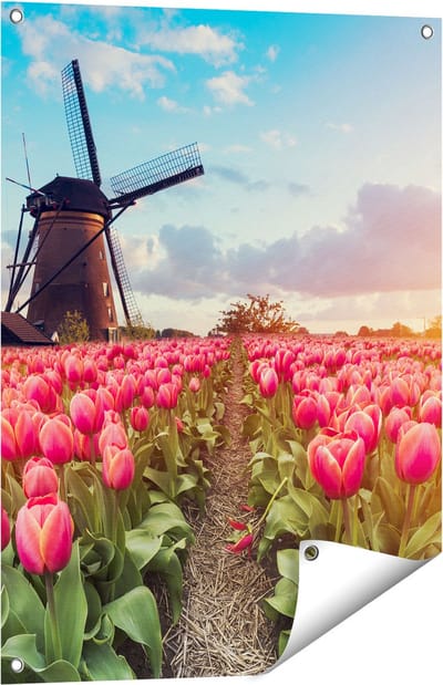 Gards Tuinposter Roze Tulpen Bloemenveld - met Windmolen - 60x80 cm - Tuindoek - Tuindecoratie - Wanddecoratie buiten - Tuinschilderij