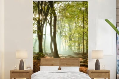 Behang - Fotobehang Bos - Zon - Seizoenen - Landschap - Breedte 180 cm x hoogte 280 cm