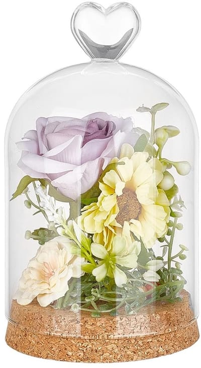 Dailygoods- Glazen Display Dome 16,4x9,1cm - Decoratieve Koepel - Kurk Basis - Huisdecoratie - Bloemen/Modellen Tentoonstelling - Elegant Ontwerp - Cloche