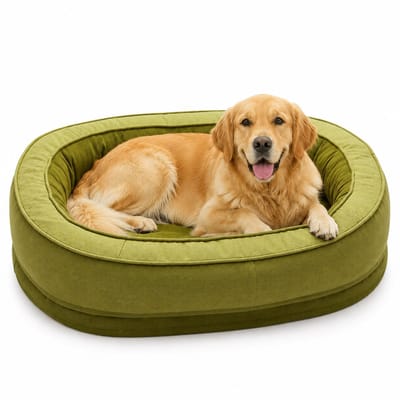 Gloovon® - Orthopedisch Hondenkussen - Luxe Hondenbed - 100 x 70 x 25 cm - Zitkussen & hondenbed - Appelgroen