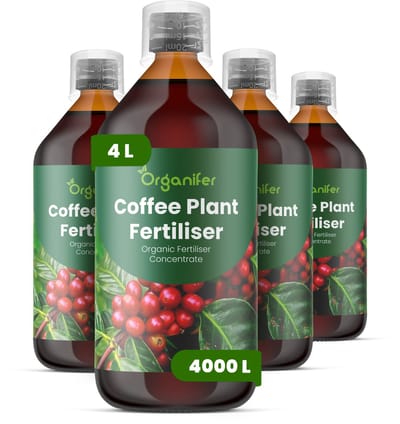 Vloeibare Meststof Voor Koffieplanten 4X1 L Voor 4000 L - Npk 2-1-8 - Gezonde Groei - Sterke Bladontwikkeling - Sterke Wortels - Weerbaarheid - Bloemvormin - Algehele Vitaliteit - Sierkoffievariëteiten - Organifer