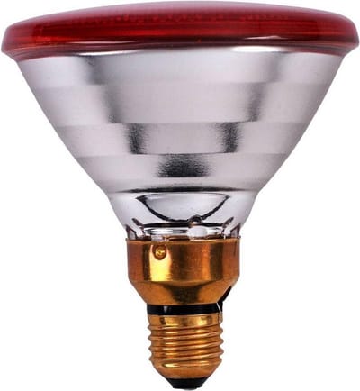 Interheat 2x Infrarood PAR warmtelampen 100 Watt