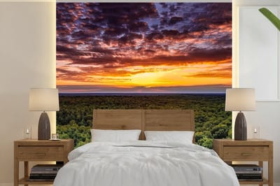 Behang - Fotobehang Bos - Nacht - Lucht - Horizon - Bomen - Breedte 350 cm x hoogte 350 cm