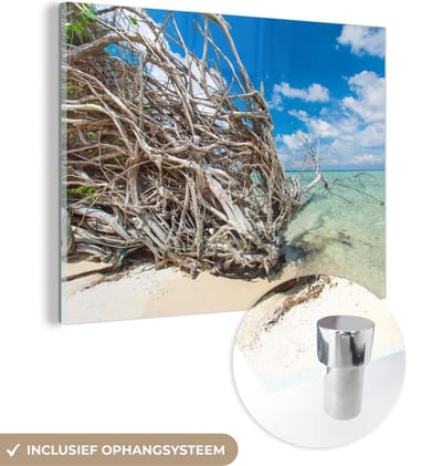 MuchoWow® Glasschilderij 40x30 cm - Schilderij acrylglas - Strand - Takken - Tropisch - Zee - Foto op glas - Schilderijen