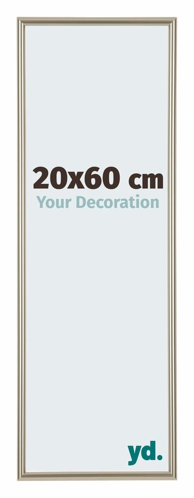 Your Decoration - Fotolijst 20x60 cm - Kunststof - Champagne - Annecy