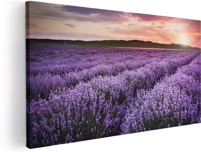 Artaza Canvas Schilderij Lavendelveld - 40x20 cm - Klein - Wanddecoratie Bloemen - Muurdecoratie Zonsondergang - Schilderijen Op Canvas