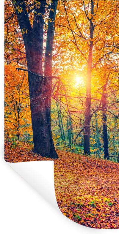 Muurstickers - Sticker Folie - Bomen - Herfst - Bos - Herfstbladeren - 40x80 cm - Plakfolie - Muurstickers Kinderkamer - Zelfklevend Behang - Zelfklevend behangpapier - Stickerfolie