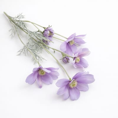 Meisjesogen paars - zijden bloemen - 3 stelen - onderhoudsvrij - 60 cm - kunstbloemen