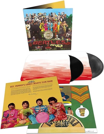 Vinyl Plaat - Muziek Album - Luisterplezier - Klassieke Hits - 30cm Diameter - Zwart