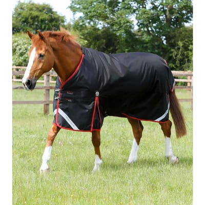 Outdoor paardendeken Premier Equine Turnout Rug 450 g