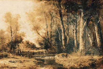 Fotobehang ForestPaint.2 DD117410 A.S. Création Atelier 47 | Fotobehang