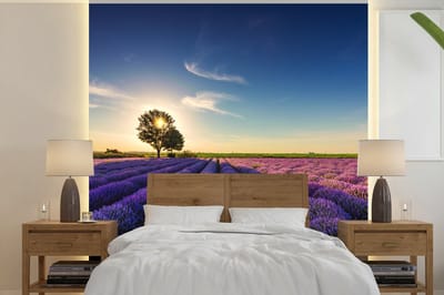 Behang - Fotobehang Lavendel - Zon - Boom - Bloemen - Paars - Breedte 350 cm x hoogte 350 cm