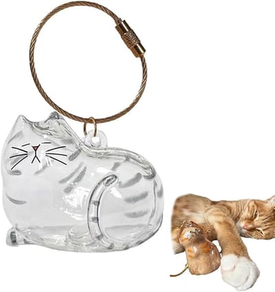 Daity Creatieve sleutelhanger in de vorm van een kattenhaarfles - transparant souvenir - opbergdoos - sleutelhanger - tashanger