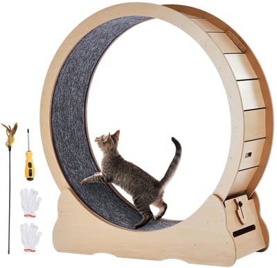 Zolara Kattenwiel - Catwheel - Loopwiel - Looprad - Kattenrad - Katten wiel