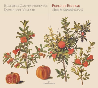 Ensemble Cantus Figuratus Der Schola Cantorum Basiliensis, Dominique Vellard - Pedro De Escobar: Missa In Granada (C.1520) (CD)