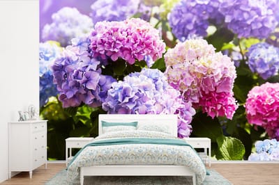 Behang - Fotobehang Bloemen - Hortensia - Roze - Bladeren - Zon - Breedte 420 cm x hoogte 280 cm